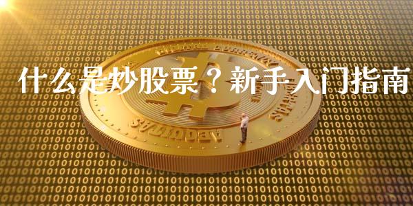 什么是炒股票？新手入门指南_https://cj001.lansai.wang_财经问答_第1张