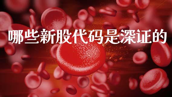 哪些新股代码是深证的_https://cj001.lansai.wang_理财问答_第1张