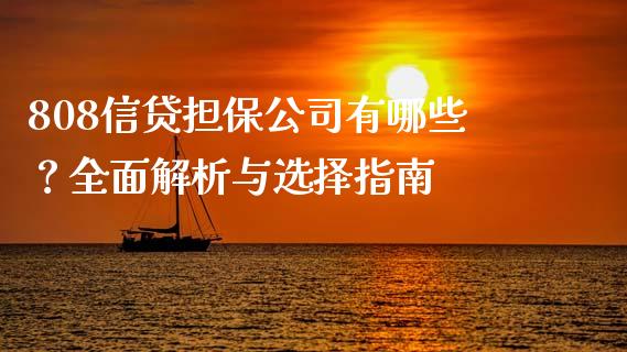 808信贷担保公司有哪些？全面解析与选择指南_https://cj001.lansai.wang_期货问答_第1张