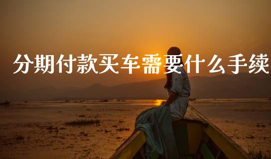 分期付款买车需要什么手续_https://cj001.lansai.wang_股市问答_第1张