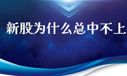 新股为什么总中不上_https://cj001.lansai.wang_股市问答_第1张