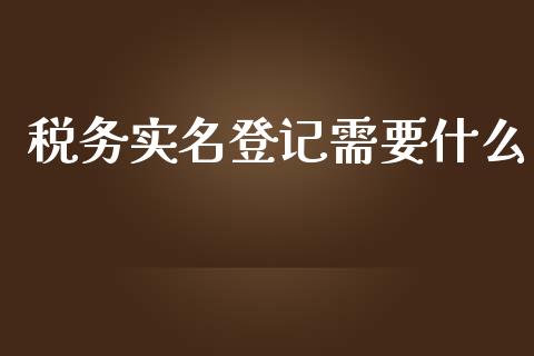税务实名登记需要什么_https://cj001.lansai.wang_会计问答_第1张