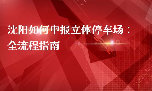 沈阳如何申报立体停车场：全流程指南_https://cj001.lansai.wang_理财问答_第1张