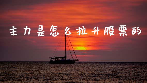主力是怎么拉升股票的_https://cj001.lansai.wang_会计问答_第1张