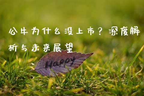 公牛为什么没上市？深度解析与未来展望_https://cj001.lansai.wang_会计问答_第1张