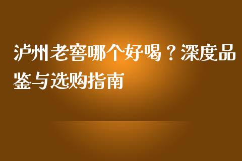 泸州老窖哪个好喝？深度品鉴与选购指南_https://cj001.lansai.wang_会计问答_第1张