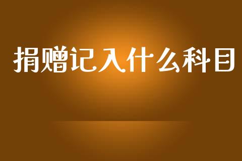 捐赠记入什么科目_https://cj001.lansai.wang_会计问答_第1张