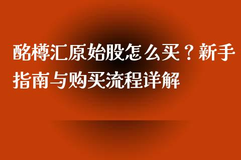 酩樽汇原始股怎么买？新手指南与购买流程详解_https://cj001.lansai.wang_财经百问_第1张
