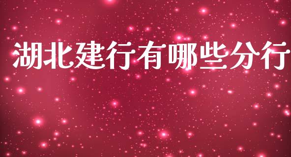 湖北建行有哪些分行_https://cj001.lansai.wang_理财问答_第1张
