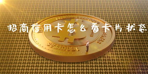 招商信用卡怎么看卡片状态_https://cj001.lansai.wang_金融问答_第1张