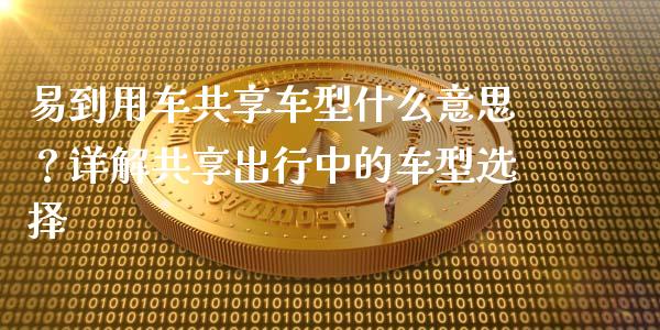 易到用车共享车型什么意思？详解共享出行中的车型选择_https://cj001.lansai.wang_保险问答_第1张
