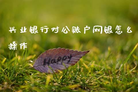 兴业银行对公账户网银怎么操作_https://cj001.lansai.wang_金融问答_第1张