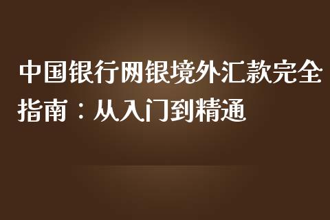 中国银行网银境外汇款完全指南：从入门到精通_https://cj001.lansai.wang_会计问答_第1张