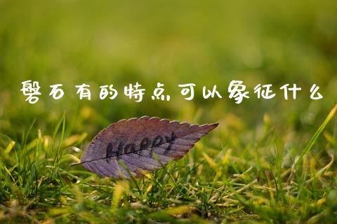 磐石有的特点可以象征什么_https://cj001.lansai.wang_理财问答_第1张