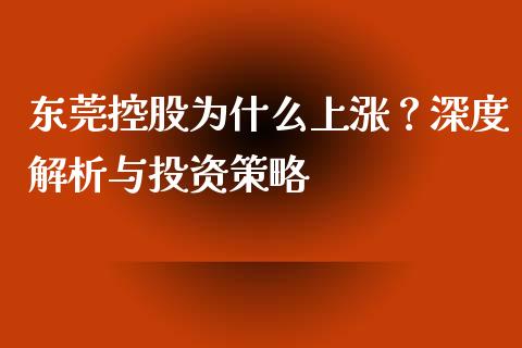 东莞控股为什么上涨？深度解析与投资策略_https://cj001.lansai.wang_会计问答_第1张