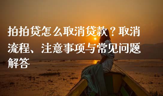 拍拍贷怎么取消贷款？取消流程、注意事项与常见问题解答_https://cj001.lansai.wang_财经问答_第1张