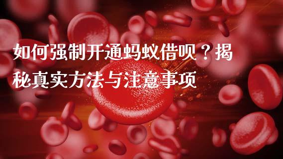 如何强制开通蚂蚁借呗？揭秘真实方法与注意事项_https://cj001.lansai.wang_金融问答_第1张