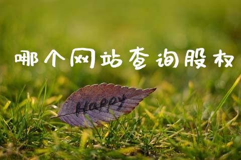 哪个网站查询股权_https://cj001.lansai.wang_理财问答_第1张