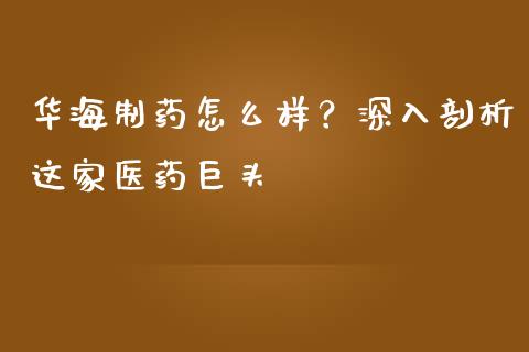 华海制药怎么样？深入剖析这家医药巨头_https://cj001.lansai.wang_财经问答_第1张
