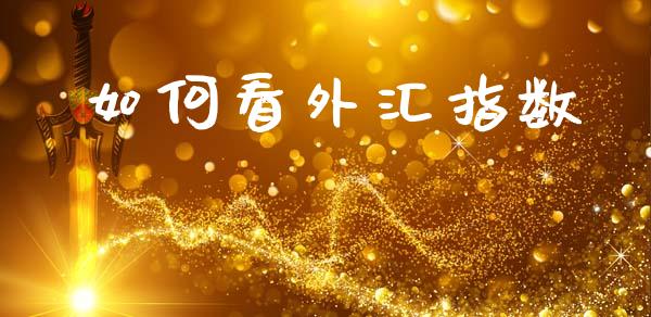 如何看外汇指数_https://cj001.lansai.wang_财经问答_第1张
