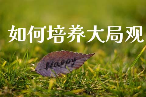 如何培养大局观_股市问答_第1张_财经百问网 如何培养大局观_https://cj001.lansai.wang_股市问答_第1张