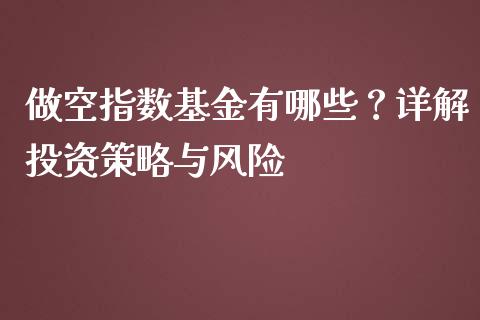 做空指数基金有哪些？详解投资策略与风险_https://cj001.lansai.wang_保险问答_第1张
