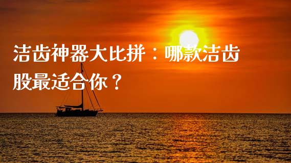 洁齿神器大比拼：哪款洁齿股最适合你？_https://cj001.lansai.wang_财经问答_第1张