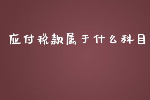 应付税款属于什么科目_https://cj001.lansai.wang_会计问答_第1张