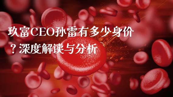 玖富CEO孙雷有多少身价？深度解读与分析_https://cj001.lansai.wang_理财问答_第1张