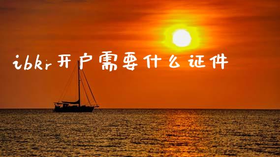 ibkr开户需要什么证件_https://cj001.lansai.wang_期货问答_第1张