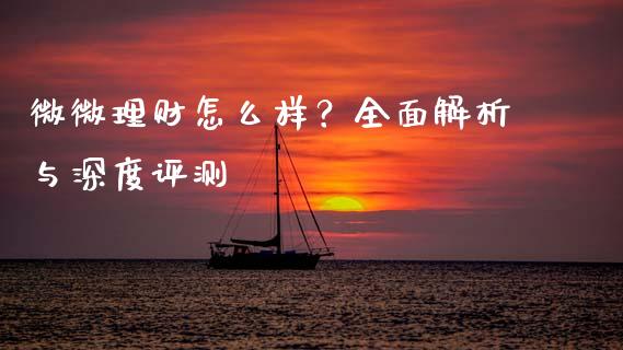 微微理财怎么样？全面解析与深度评测_https://cj001.lansai.wang_金融问答_第1张