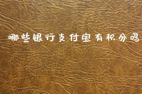 哪些银行支付宝有积分吗_https://cj001.lansai.wang_理财问答_第1张