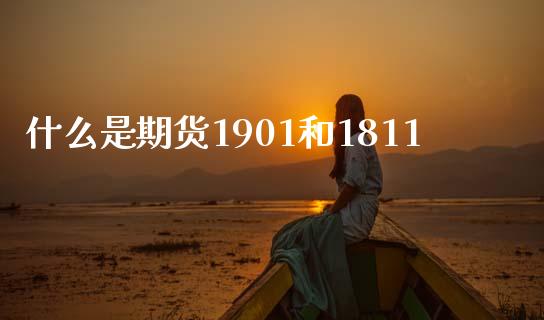 什么是期货1901和1811_会计问答_第1张_财经百问网 什么是期货1901和1811_https://cj001.lansai.wang_会计问答_第1张