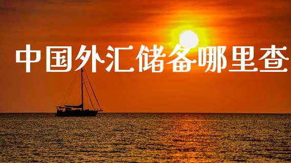 中国外汇储备哪里查_https://cj001.lansai.wang_财经问答_第1张