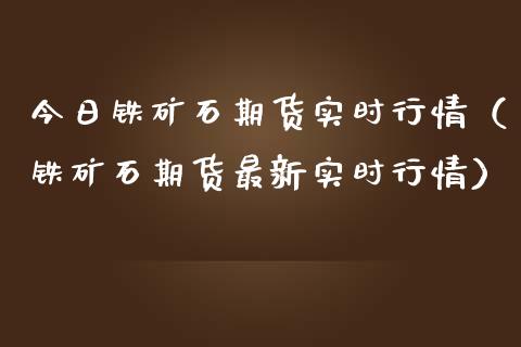 今日铁矿石期货实时行情（铁矿石期货最新实时行情）_https://cj001.lansai.wang_期货问答_第1张