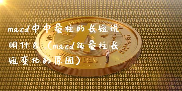 macd中中量柱的长短说明什么（macd能量柱长短变化的原因）_https://cj001.lansai.wang_财经百问_第1张