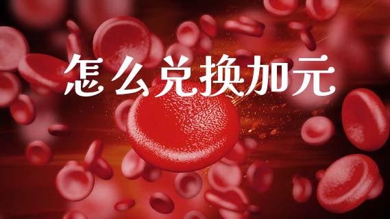 怎么兑换加元_https://cj001.lansai.wang_财经问答_第1张