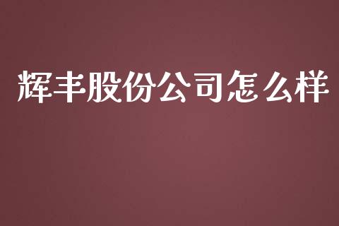 辉丰股份公司怎么样_https://cj001.lansai.wang_股市问答_第1张