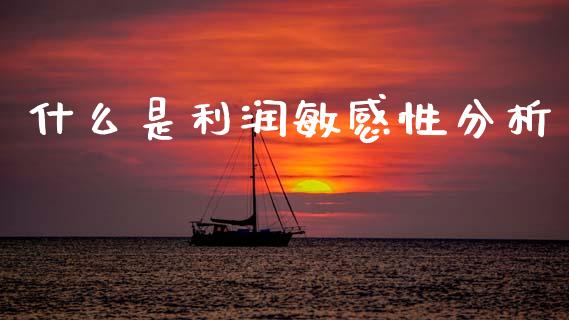 什么是利润敏感性分析_https://cj001.lansai.wang_会计问答_第1张