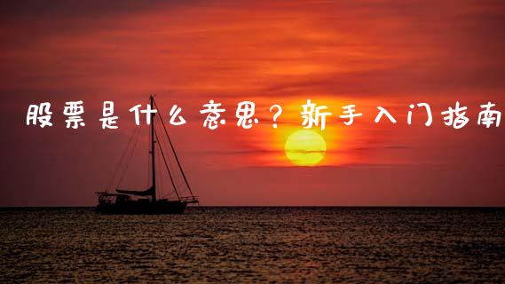 股票是什么意思？新手入门指南_https://cj001.lansai.wang_保险问答_第1张