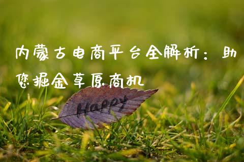 内蒙古电商平台全解析：助您掘金草原商机_https://cj001.lansai.wang_会计问答_第1张