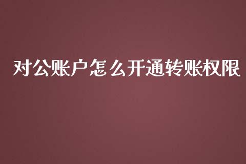 对公账户怎么开通转账权限_https://cj001.lansai.wang_金融问答_第1张