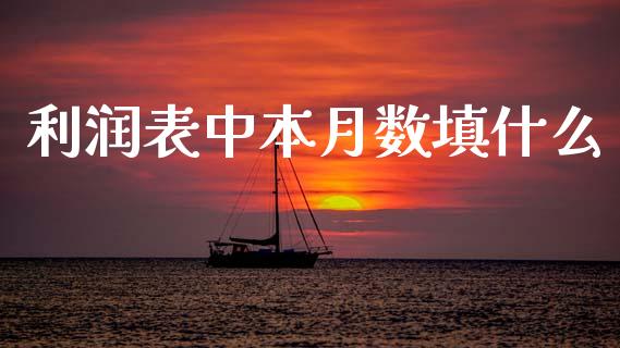 利润表中本月数填什么_https://cj001.lansai.wang_会计问答_第1张
