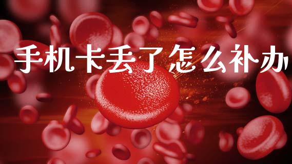 手机卡丢了怎么补办_https://cj001.lansai.wang_保险问答_第1张