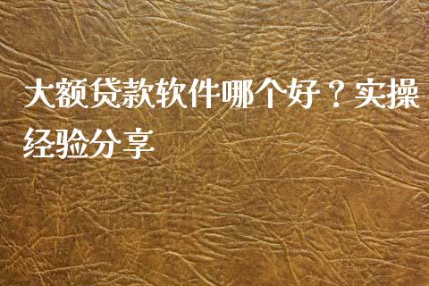 大额贷款软件哪个好？实操经验分享_https://cj001.lansai.wang_金融问答_第1张