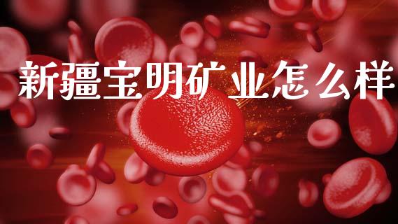 新疆宝明矿业怎么样_https://cj001.lansai.wang_财经问答_第1张