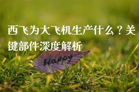 西飞为大飞机生产什么？关键部件深度解析_https://cj001.lansai.wang_财经百问_第1张