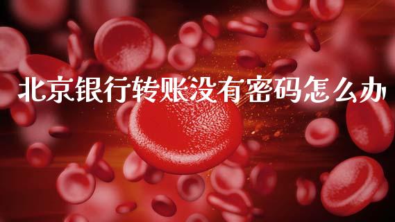 北京银行转账没有密码怎么办_https://cj001.lansai.wang_金融问答_第1张