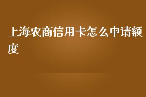 上海农商信用卡怎么申请额度_https://cj001.lansai.wang_金融问答_第1张