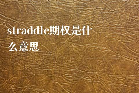 straddle期权是什么意思_https://cj001.lansai.wang_保险问答_第1张